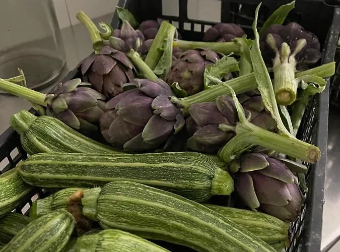 Отель Olmitello - Cucina Vegetariana Bio E Tradizionale