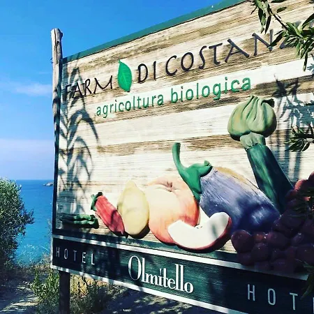 Olmitello - Cucina Vegetariana Bio E Tradizionale 3*