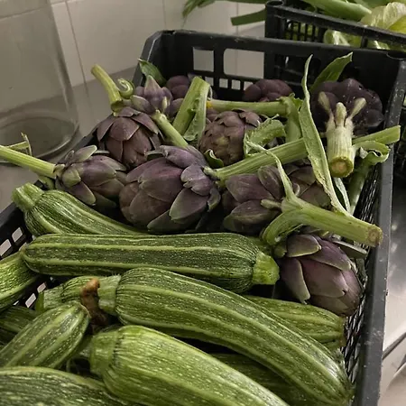 Hotel Olmitello - Cucina Vegetariana Bio E Tradizionale