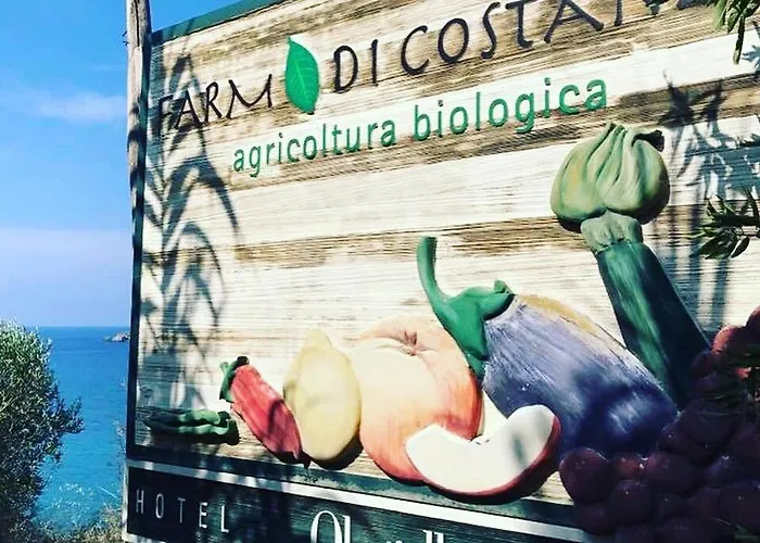 Olmitello - Cucina Vegetariana Bio E Tradizionale 3*